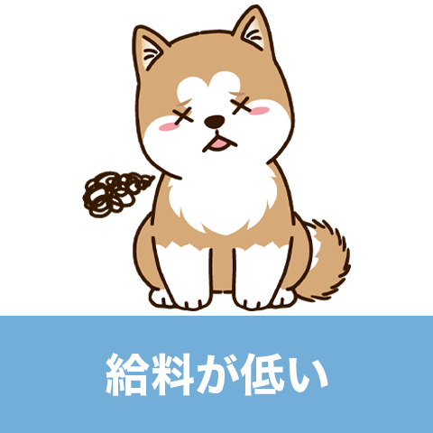 選択肢3